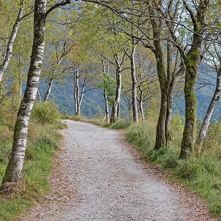 Quiet Place Near Centre And The Mountains * Bergen